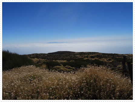 Amazing view Amazing view